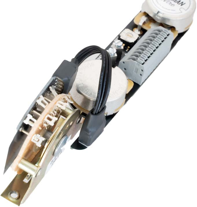 Custom Universal for LEFTY! Tele®