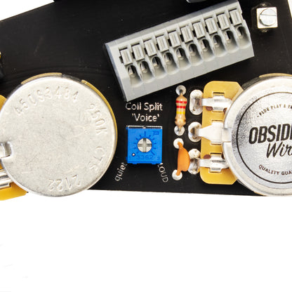 Custom Lambertones HSS für Strat® 