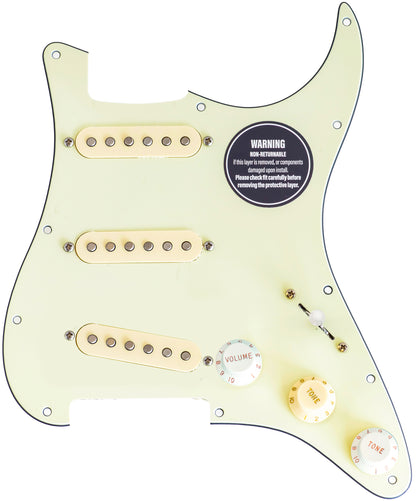 Künstler-Serie: McCready Loaded Pickguard